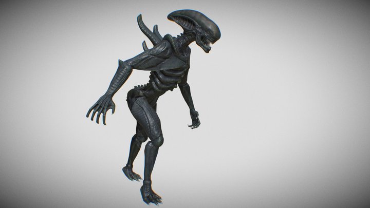 The Xeno-Bat 3D Model