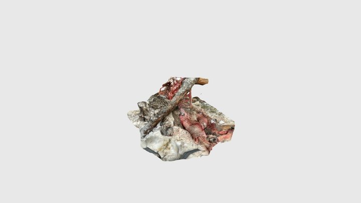 Kill site 3D Model