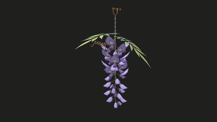 Wisteria 3D Model