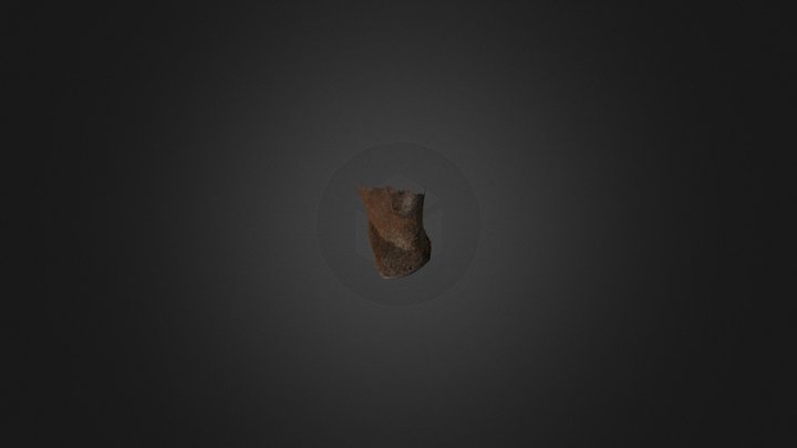 Coelodonta antiquitatis 3D Model