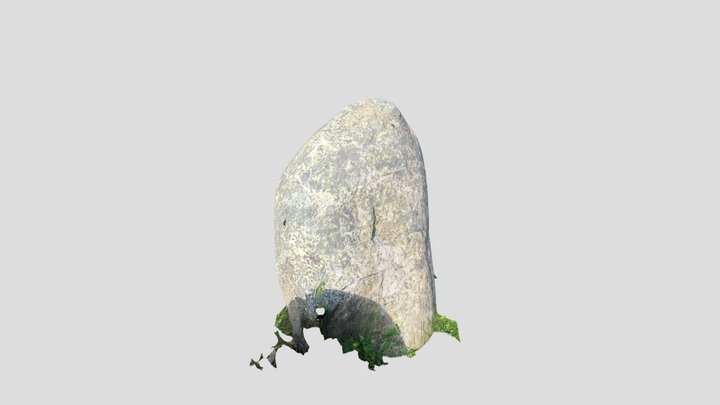 Stein 3D Model