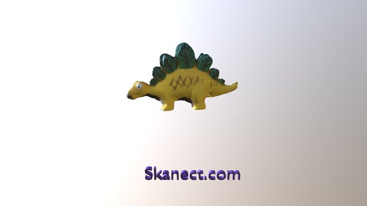 New Skanect Model 3D Model