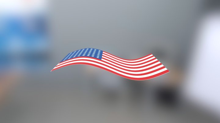 Flag 3D Model