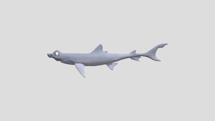 Nervous Shark 3D Model