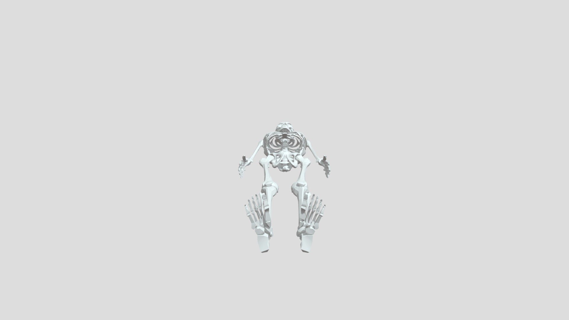 Skeleton