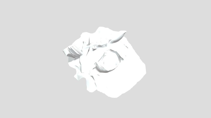 My model 3D Model