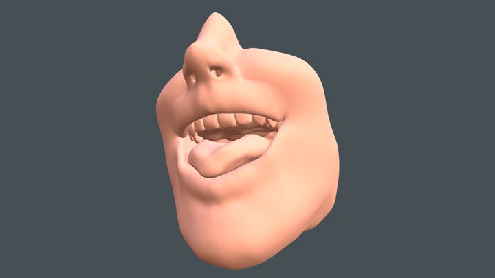 Open mouth 3D Model