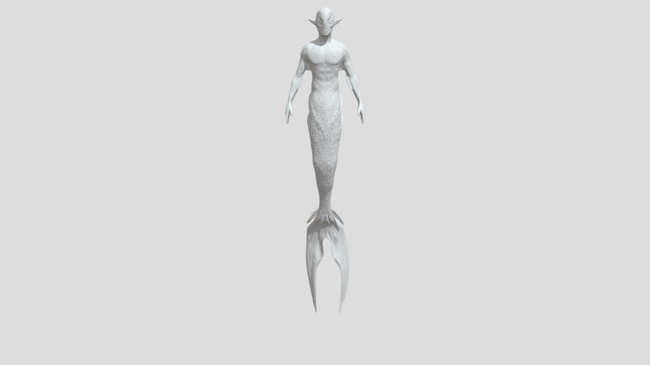 Siren Project 3D Model