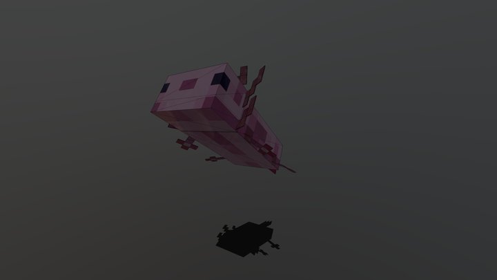 minecraft_axolotl 3D Model