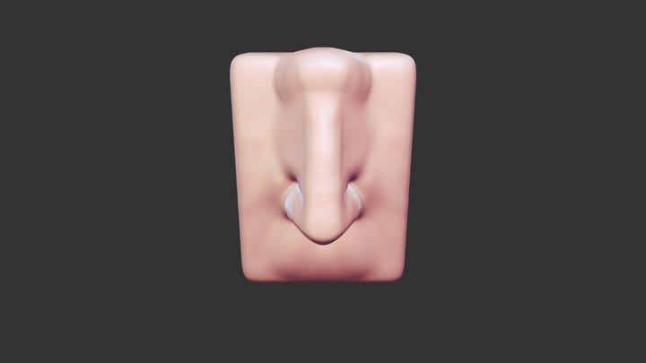Nose Sculpt 3D Model