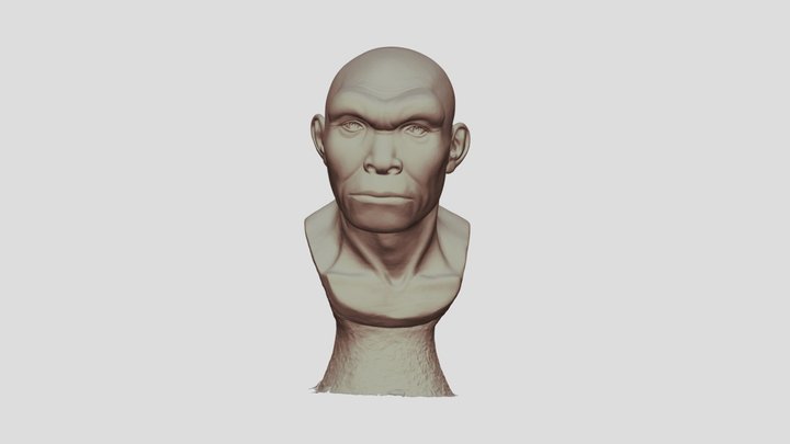 Homo heidelbergensis Bodo facial approximation 3D Model