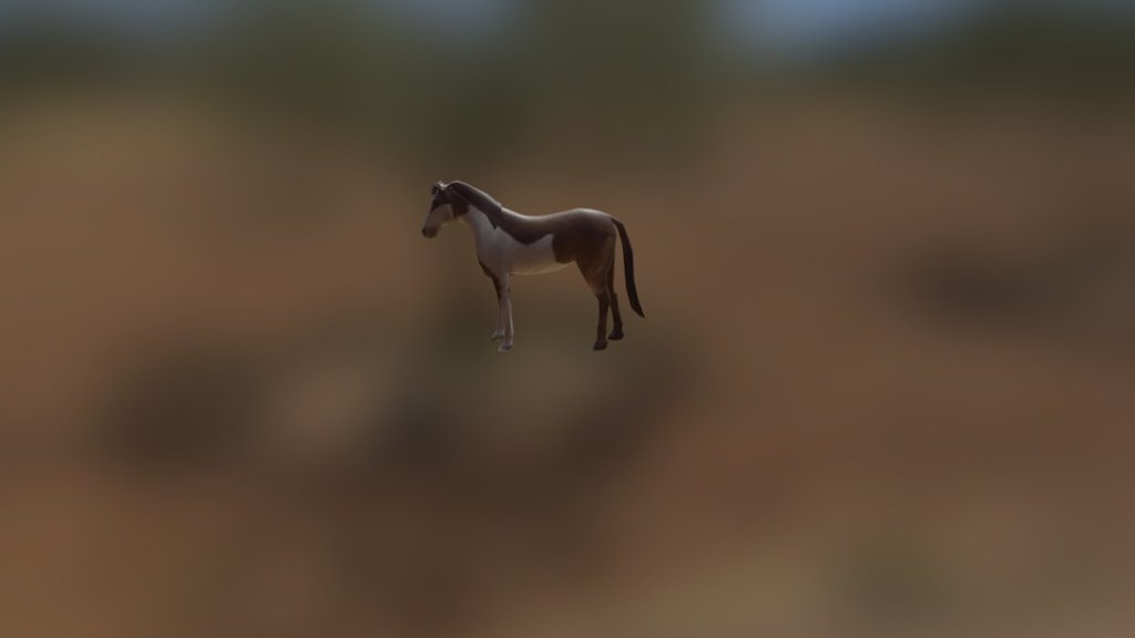 wwww
