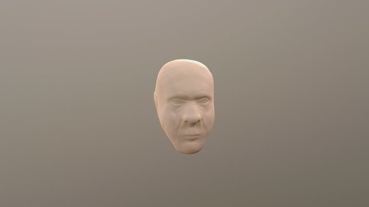 cabeça 3D Model