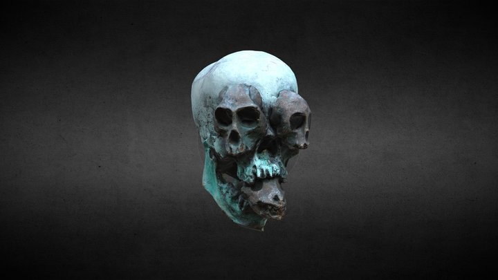 Skull 3D Model