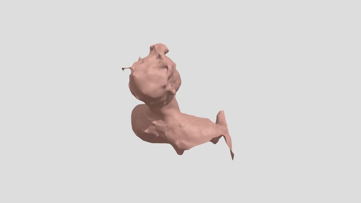 bust ply 3D Model