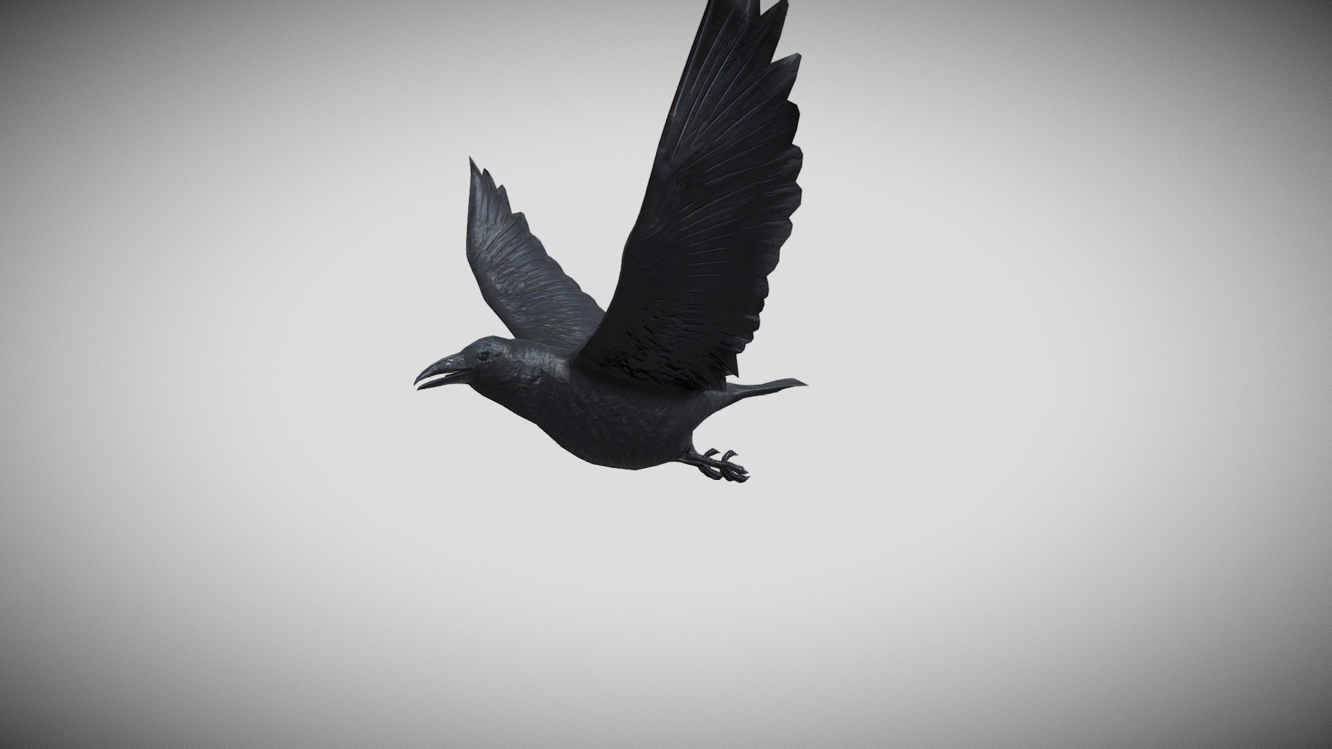 Medhue Raven — Sketchfab embed 3D viewer