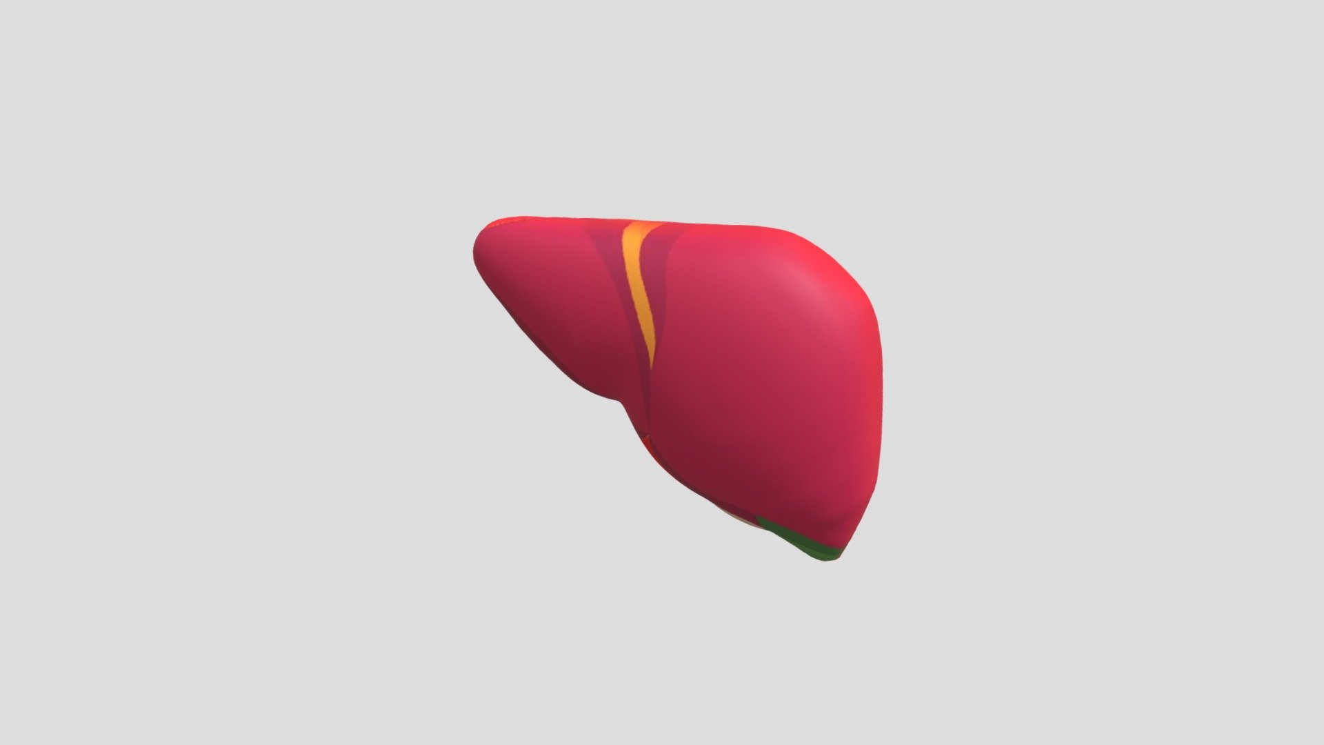 Hati (liver) - Download Free 3D model by eriawati [8cd17f5] - Sketchfab