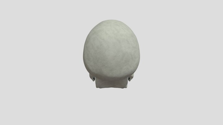 Female Skull – Kostenloses 3D-Modell STL