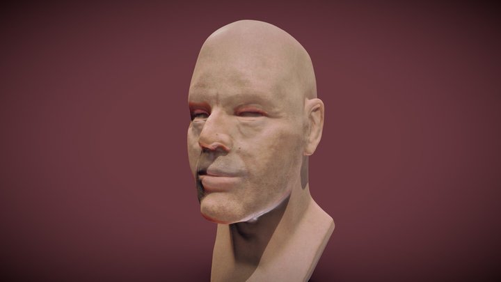 Male Head 3D Model