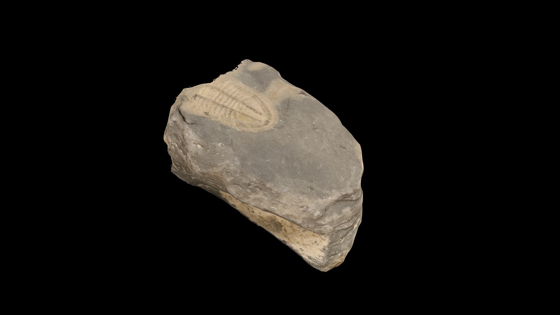 Geol212_158X Download Free 3D model by WWU Geology (WWUGeology