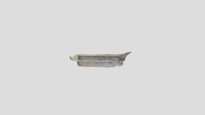 HA25 - Hollies - Tickle trench 3D Model
