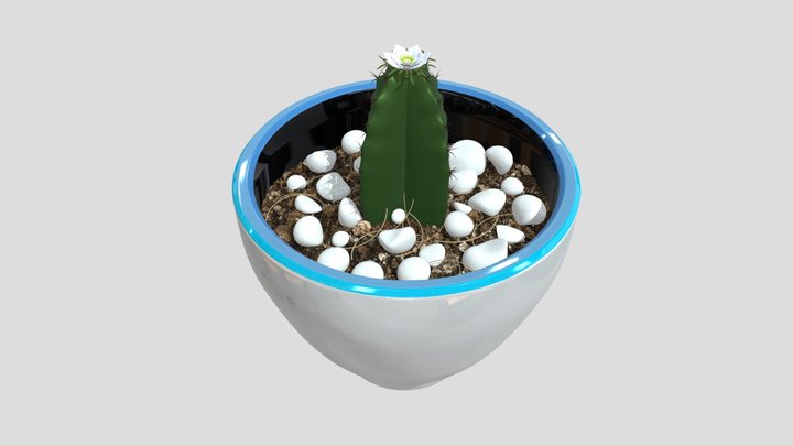 Maceta 3 M-001 3D Model