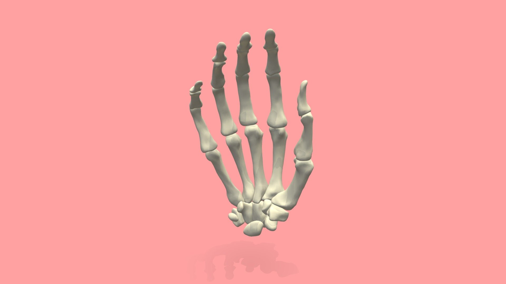 Bones of the Hand - Buy Royalty Free 3D model by PARSONSARTS ...