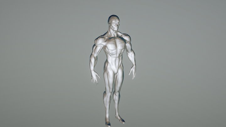ESTUDIO ANATÓMICO BÍPEDO 3D Model
