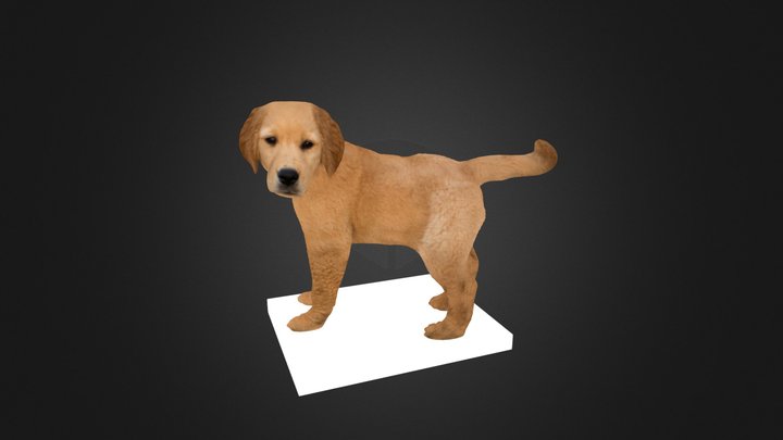 puppy-dog 3D Model