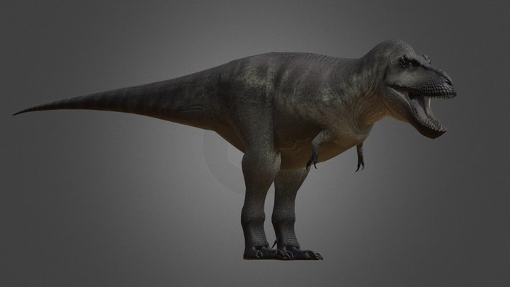 Accurate Tyrannosaurus Rex No Rig 3D Model