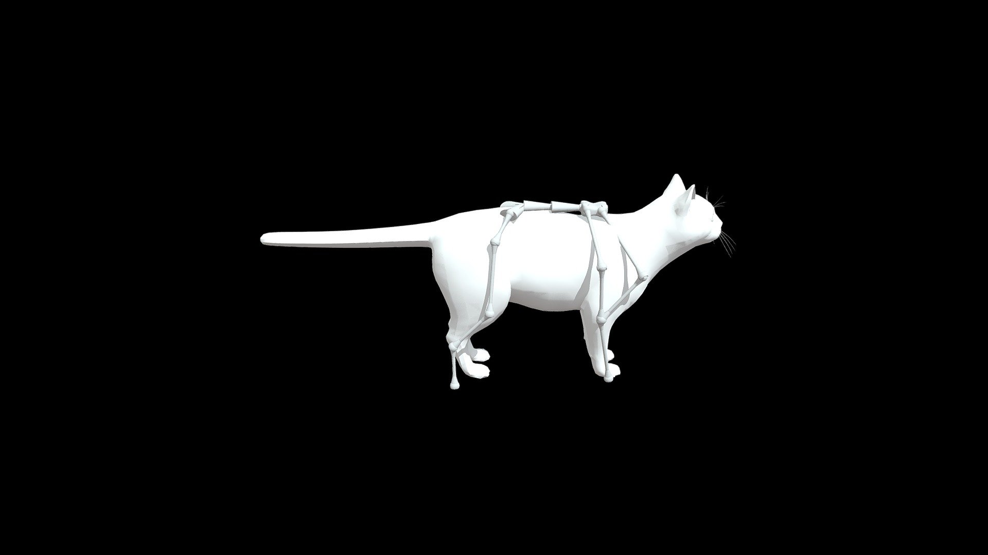 Exo4_3D_Cat — Sketchfab embed 3D viewer
