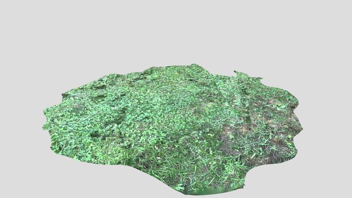 Grass Photoscan