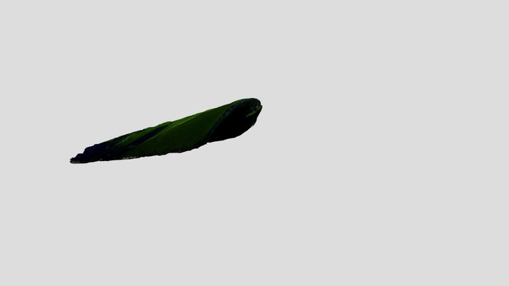 New Qlone 3D Model