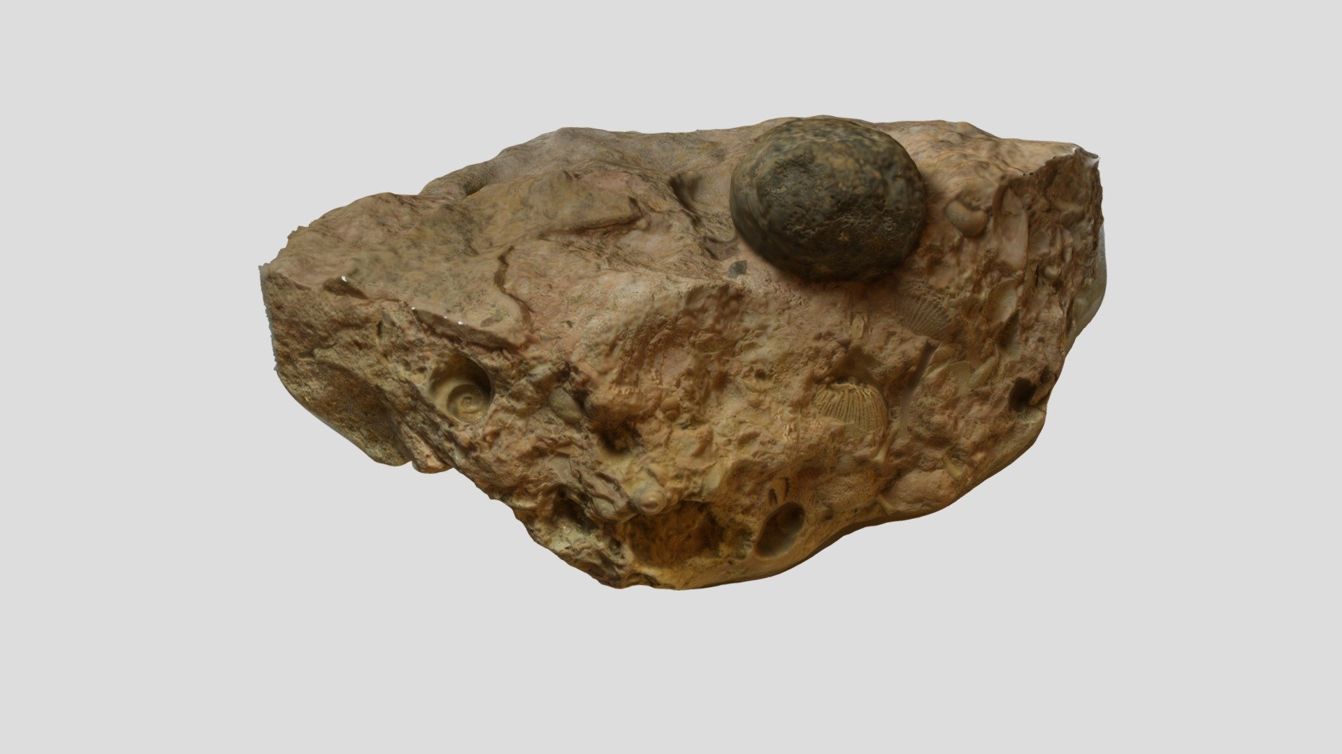 Carbonate With Volcanic Clast