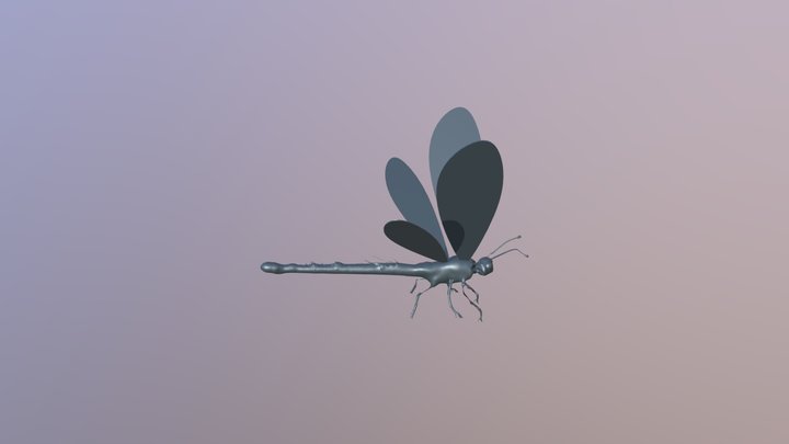 W 3D Model