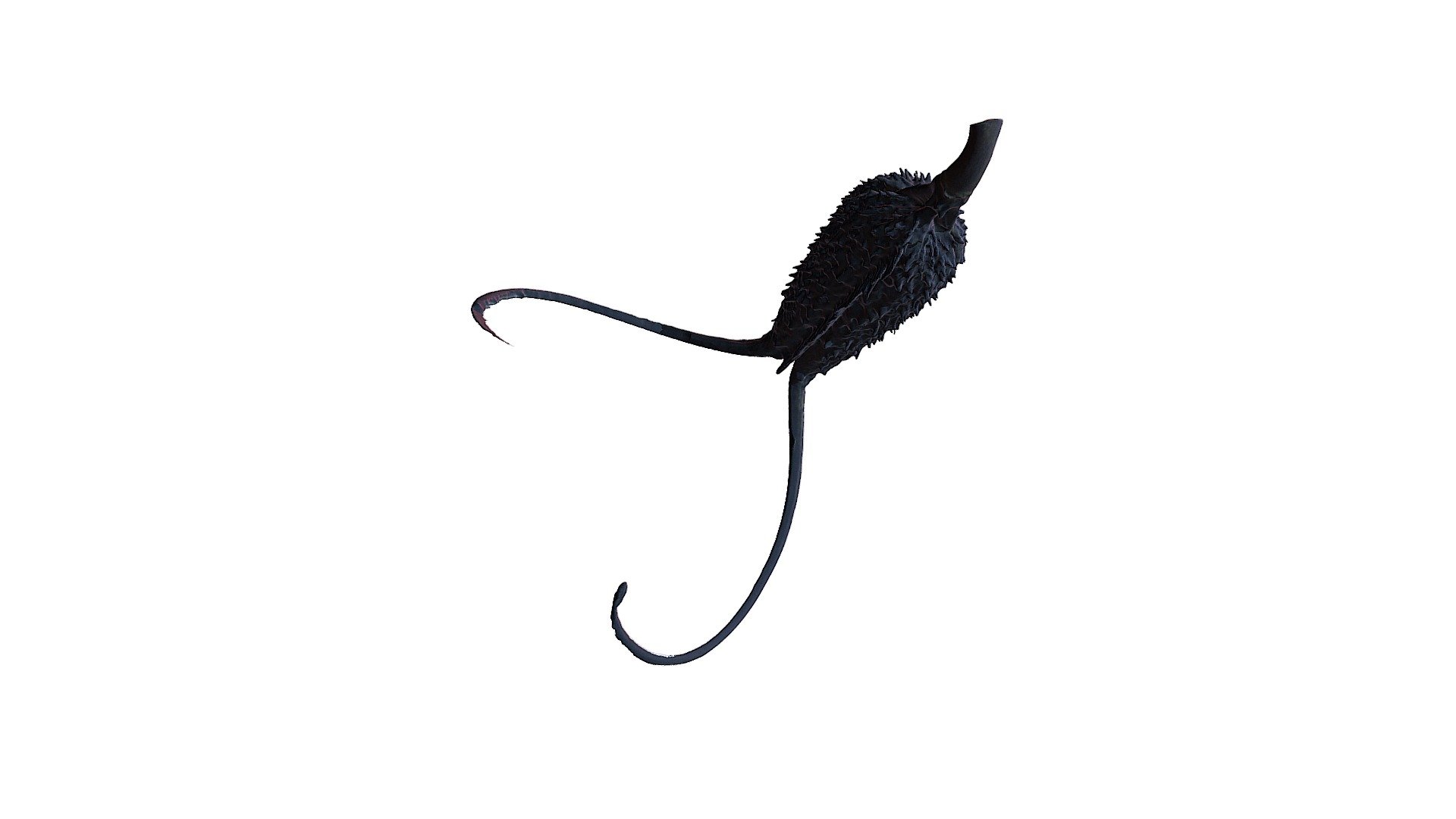 Grapple Plant seed pod