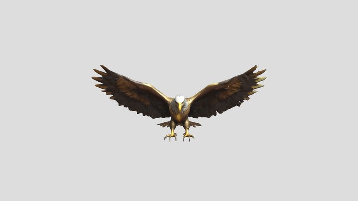 Eagle 3D Model