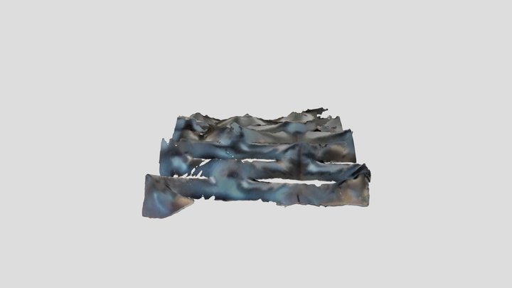 Blau 3D Model