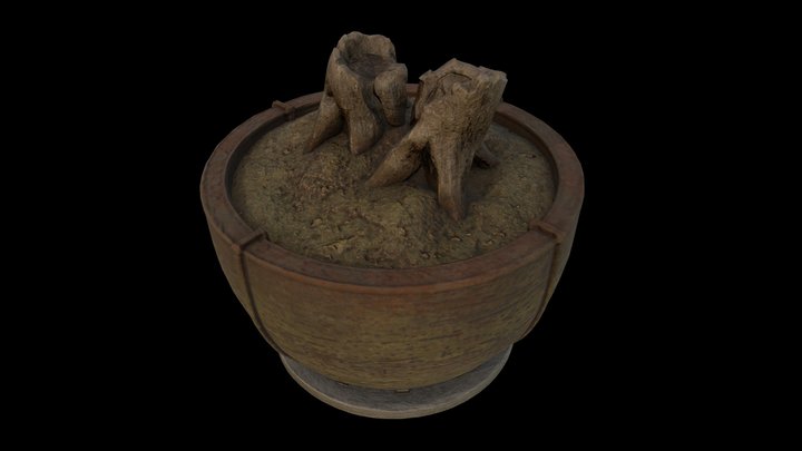 Bonsai 3D Model