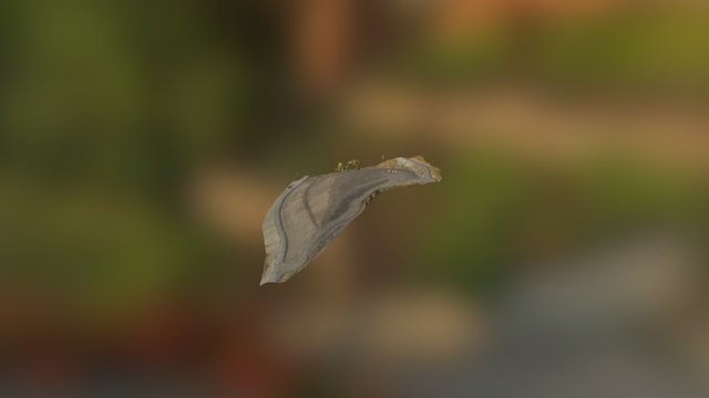 Almenninga1 Fullført 3D Model