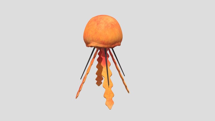 jellyfish 3D Model