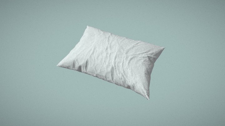Pillow Wrinkles 3D Model