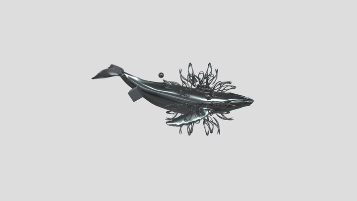 SILVER HYPERWHALE 3D Model