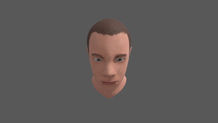 Head Bust 3D Model