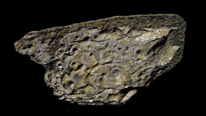 Drumtroddan rock art, Dumfries and Galloway 3D Model