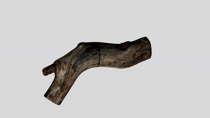 Sausa koka zars (kk20111) 3D Model