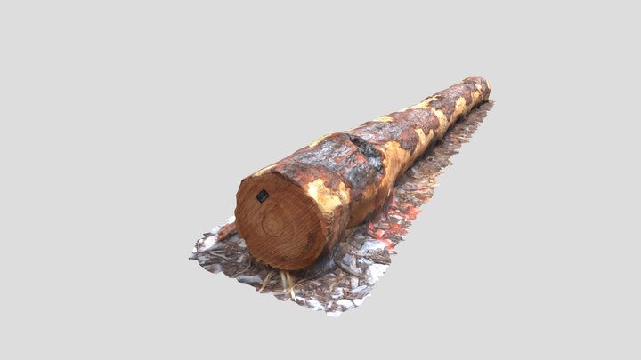 Sortiment macesna 3D Model