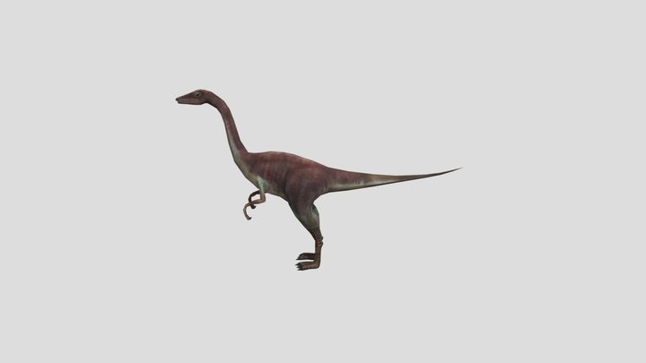 Compsognathus 3D Model