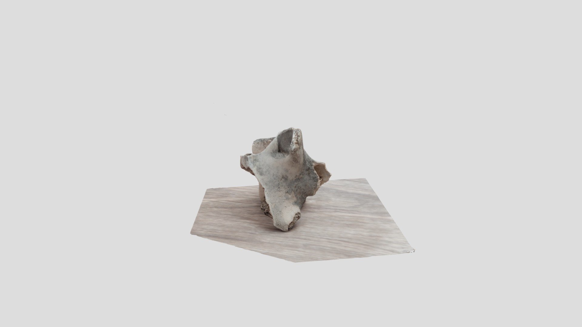 Bone
