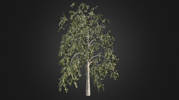 Tree_test – Free 3D Model STL